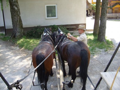 S konji je potrebno skrbno ravnati